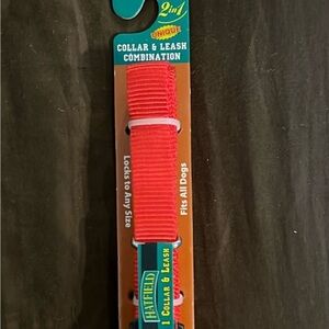 Red Collar and Leash Combination